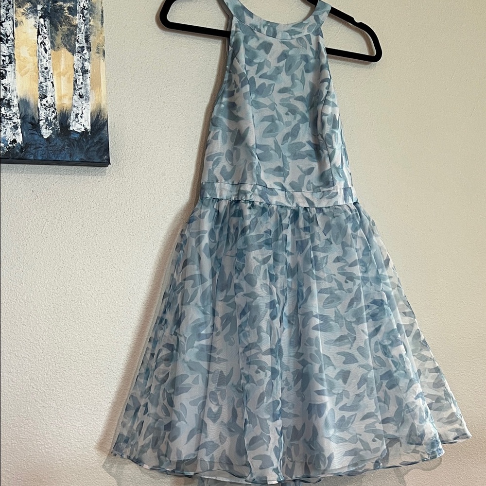 Lauren Conrad Cinderella Inspired Dress